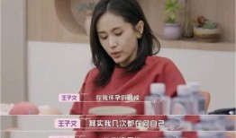 派对之星吃鸡模式 