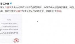 娱乐圈疑云 