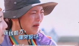 消消乐吃鸡手游 