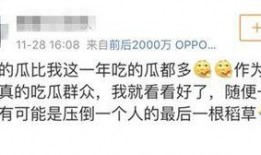 娱乐圈疑云 
