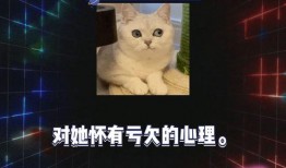 无尽噩梦5八卦内置菜单 